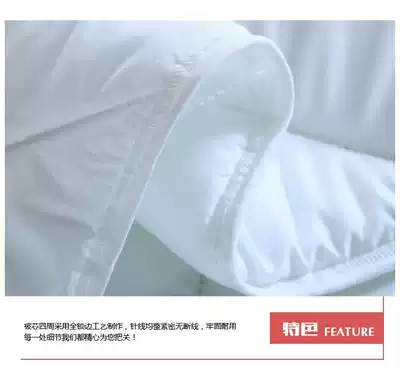 Air-conditioned mattress full set of special beauty salon bed small quilt thin massage parlor health pure quilt core