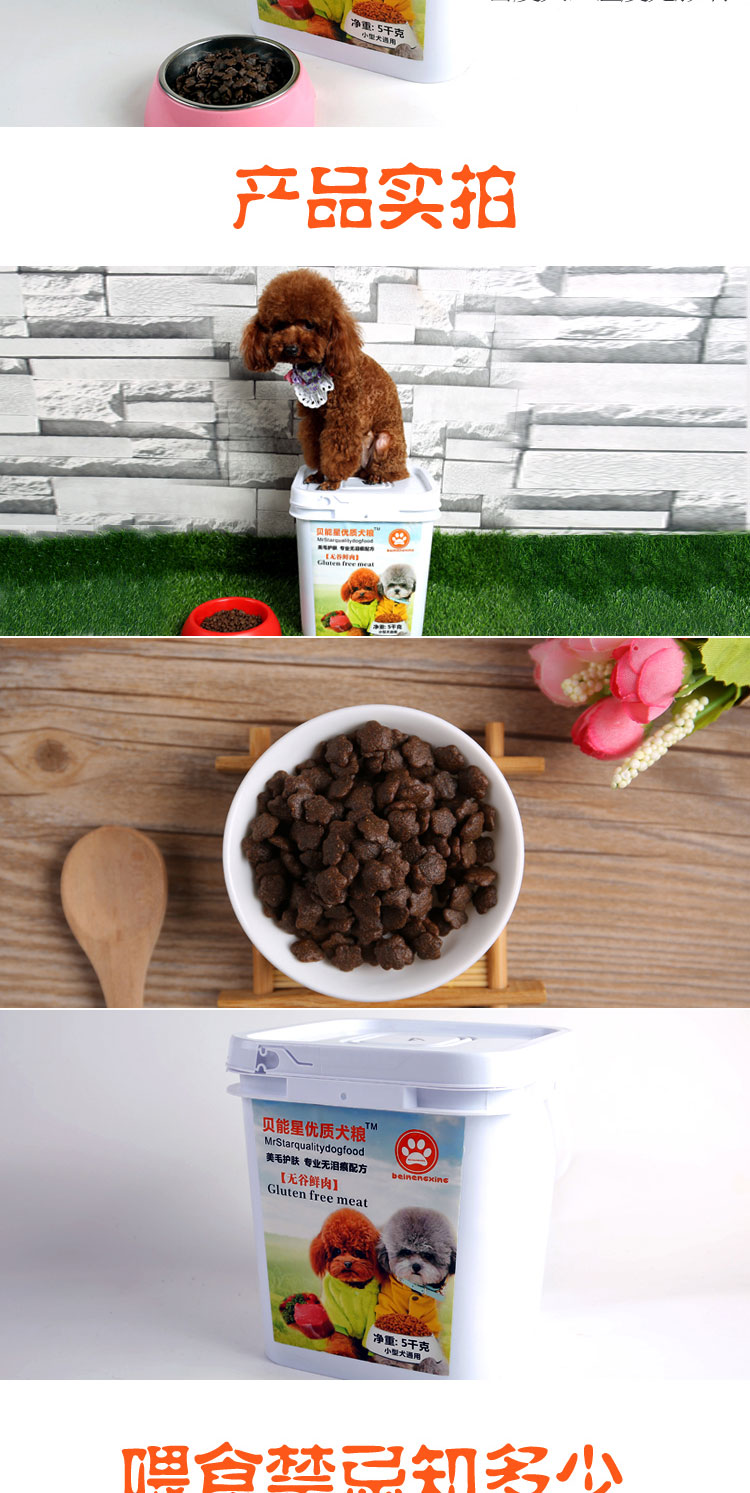 Ngốc có thể sao chó ăn 1kg cố gắng ăn lông làm đẹp để rách - Gói Singular cám cho chó