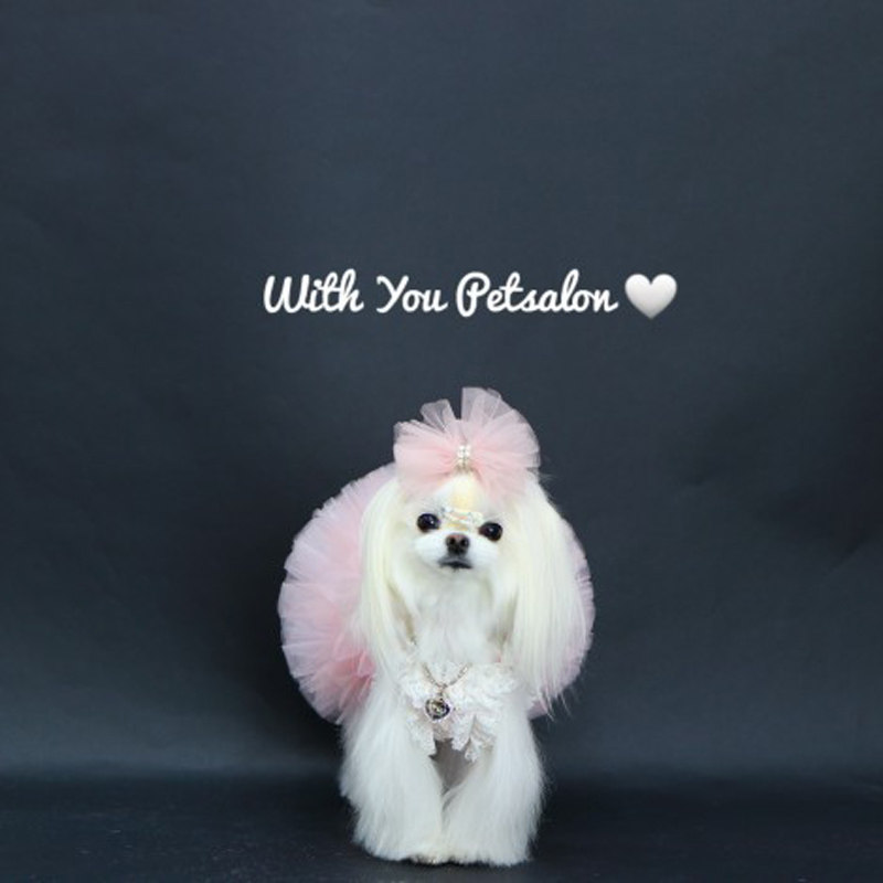 Powder sand super - puffy skirt Pet puffy skirt Cat dog clothes Pet spring dress Net red jitter princess skirt