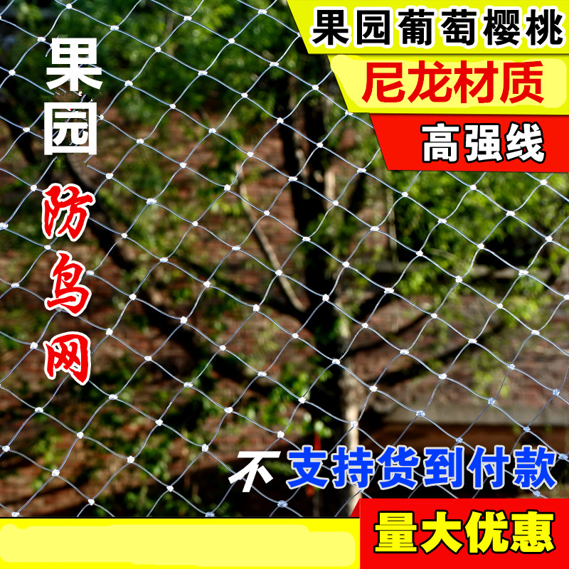 Vineyard anti-bird net Grape anti-hail net Fruit tree fish pond Rice wolfberry orchard Nylon mesh edging Gardening supplies