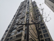 Bazhong Smart Community Community Monitoring Parking Lot LED Alarm