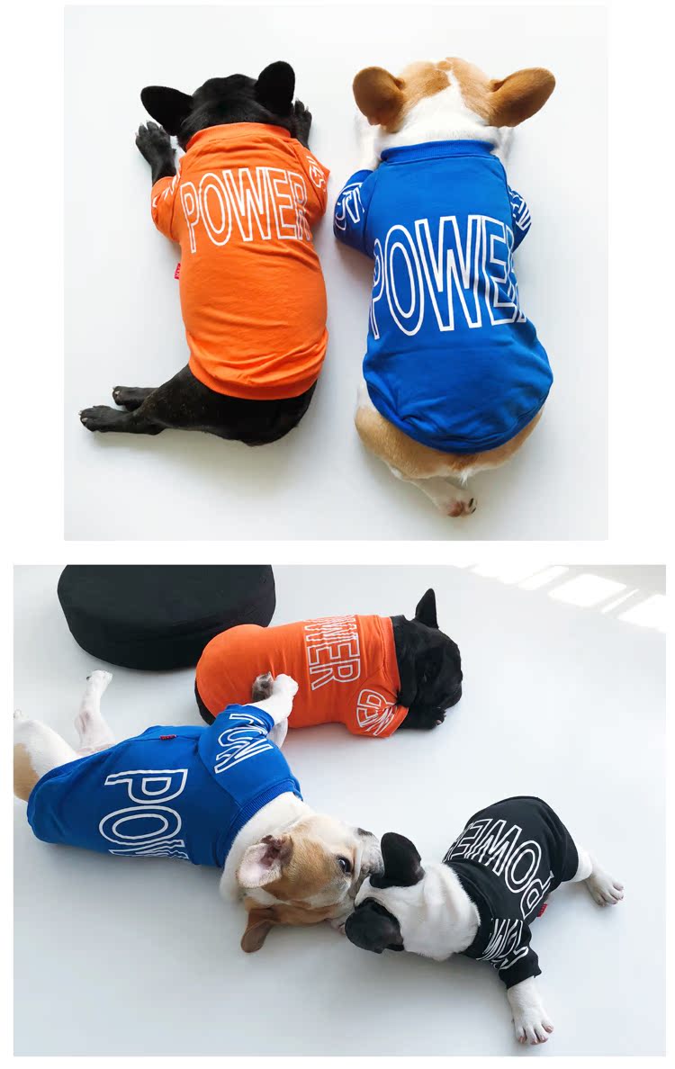 Chó thú cưng chiến đấu quần áo Keji Bago Teddy quần áo chó trung bình thú cưng cha mẹ con thủy triều mát mẻ chó chó mùa xuân và mùa thu - Quần áo & phụ kiện thú cưng 	áo váy cho mèo