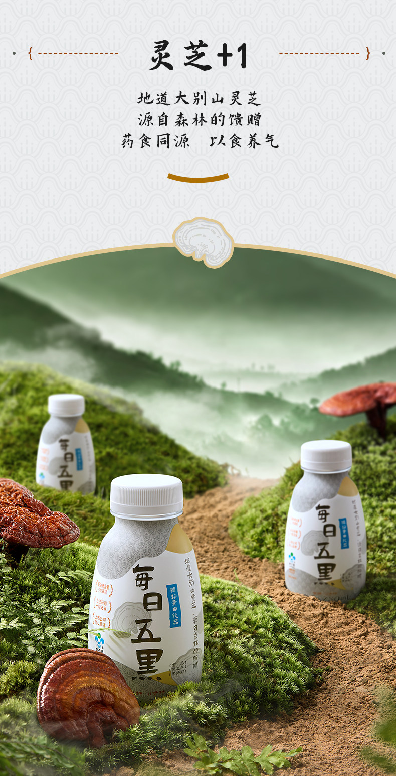 安享好物 安享C级含乳饮料-李子园五黑 植物蛋白饮 行标 