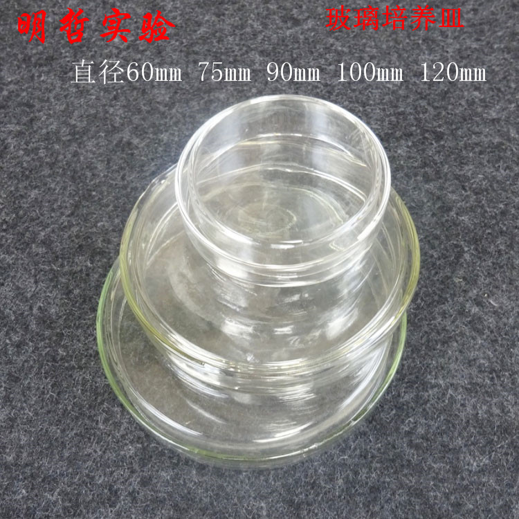 玻璃培养皿直径60mm75mm100mm120mm生物实验仪器玻璃器材教学仪器