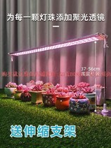 Outdoor fill light flower sunshine Changsheng Indoor 50w flower color lamp warming succulent household led plant imitation