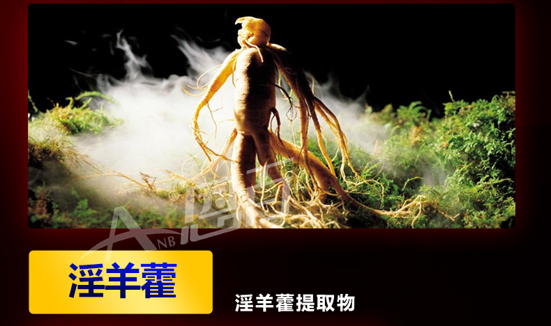 5 chai Viên nang Epimedium dành cho nam giới dành cho nam giới Sản phẩm chăm sóc sức khỏe răng miệng nam En Bạch dương nam không thẻ Majiama - Thực phẩm sức khỏe viên uống bổ sung nội tiết tố nữ