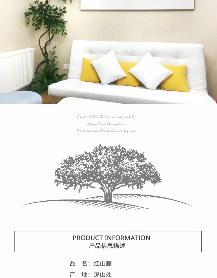 Cây mô phỏng dây leo dây mây trong nhà trang trí đám cưới cây giả hoa cảnh cây nho treo tường cành cây dây leo khô - Hoa nhân tạo / Cây / Trái cây cây mai giả trang trí tết