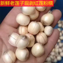 Honglian fresh spot Jiangxi Guangchang specialty white lotus rice peeled with belt the heart is now peeled and the hair is powdery and glutinous.
