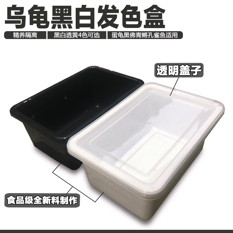 Turtle Hair Color Box Isolate Box Add-basin avocado Tortoise Egg Tortoise Razor Green Medaka Black white pure color warmed rearing box