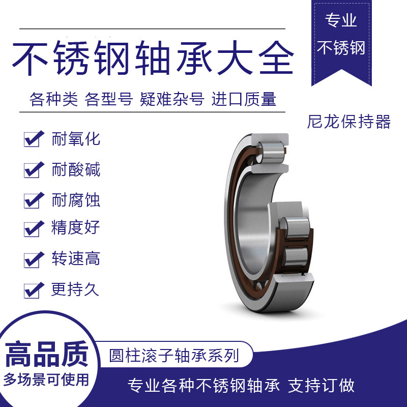 Stainless steel cylindrical roller bearings SNJ202 203204205206207208209210 21