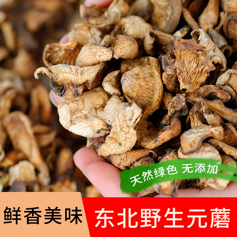 Northeast Wild Farmyard Dollar Mushroom Frozen Mushroom Dry Goods Stew Mushroom 500g