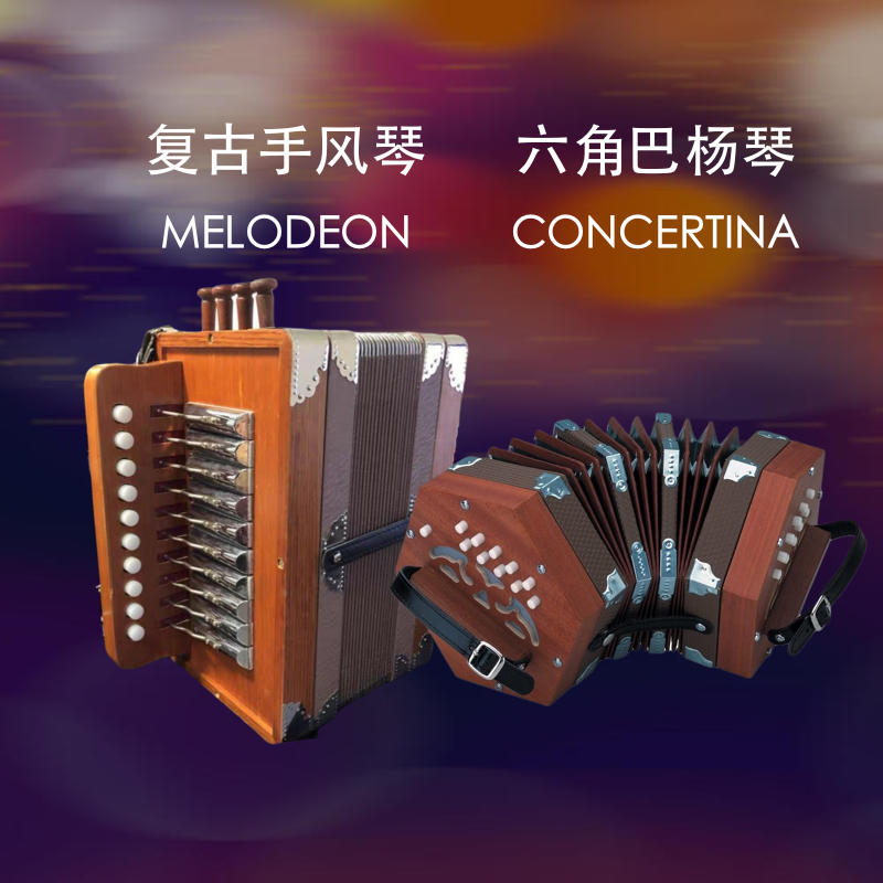 Hexagonal accordion retro 20-key 30-key children's band multi-button adult mini beginner Bayan organ musical instrument teaching materials