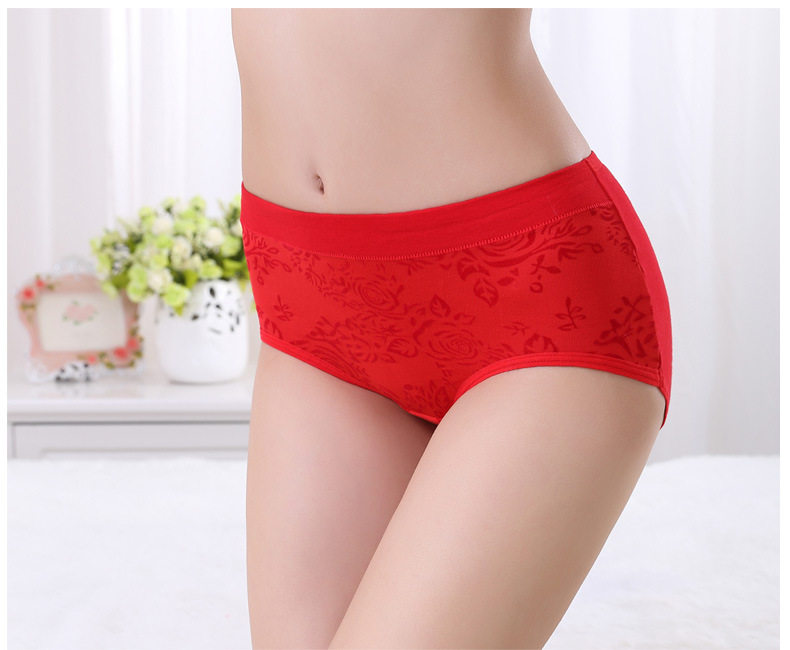 Slip jeunesse simple en coton - Ref 653855 Image 20
