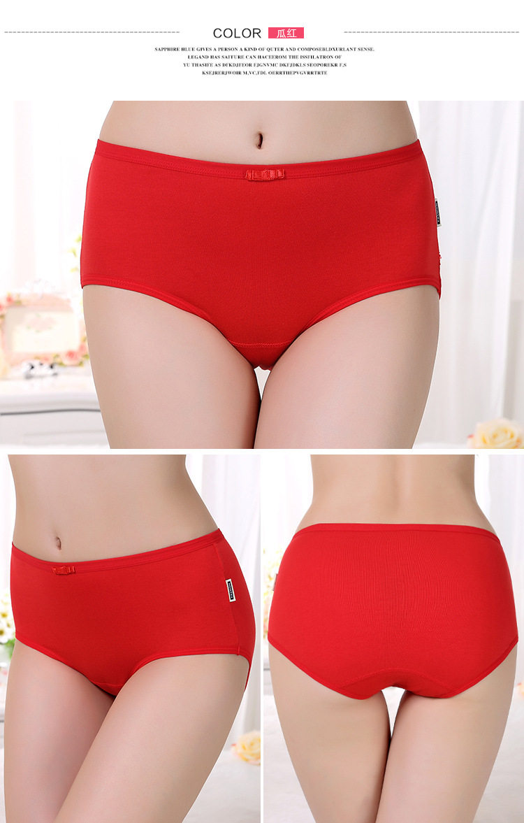 Slip luxueux en coton - Ref 654379 Image 19