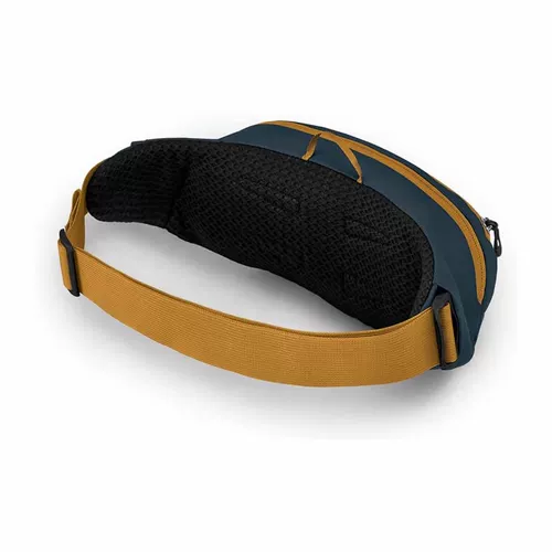 Spot Eagle Osprey Daylite Талия Солнечный свет 2L Спортивный спортивный открытые сумки могут быть зарегистрированы