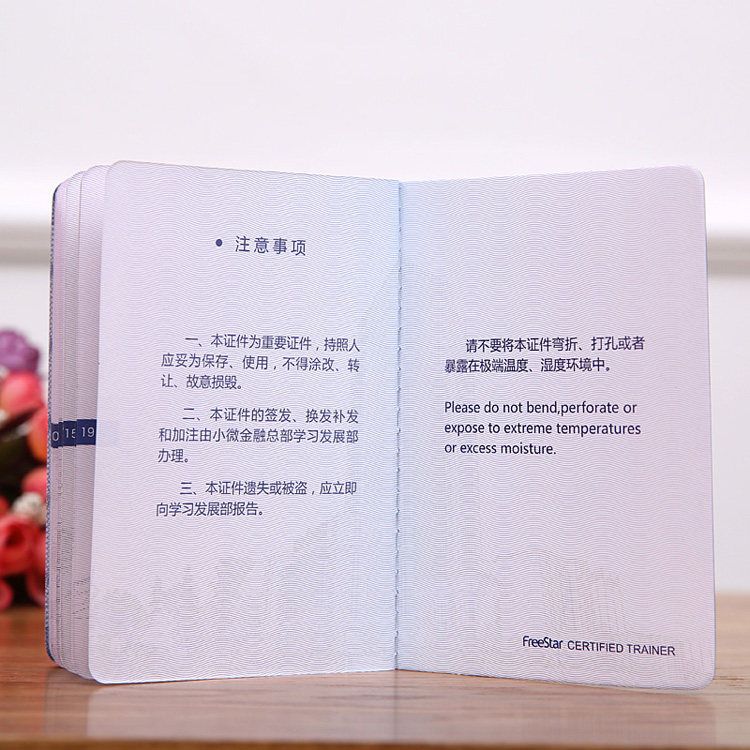 贷款收入证明_教师贷款收入证明(3)