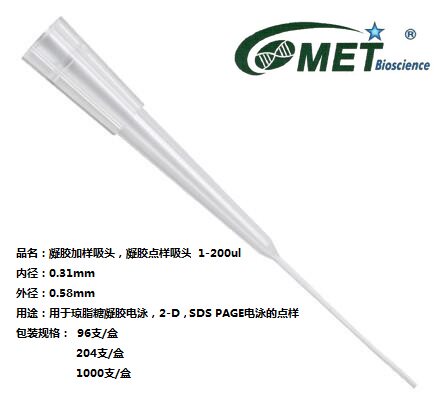 200ul电泳凝胶点样吸头，凝胶上样吸头 电泳加样吸头 0.31/0.58mm
