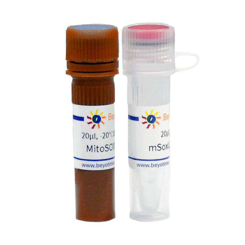 碧云天线粒体超氧化物检测试剂盒(MitoSOX Red)S0061