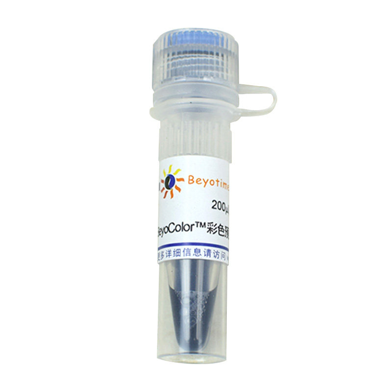 碧云天BeyoColor?彩色预染蛋白分子量标准(6.5-270kD)P0071