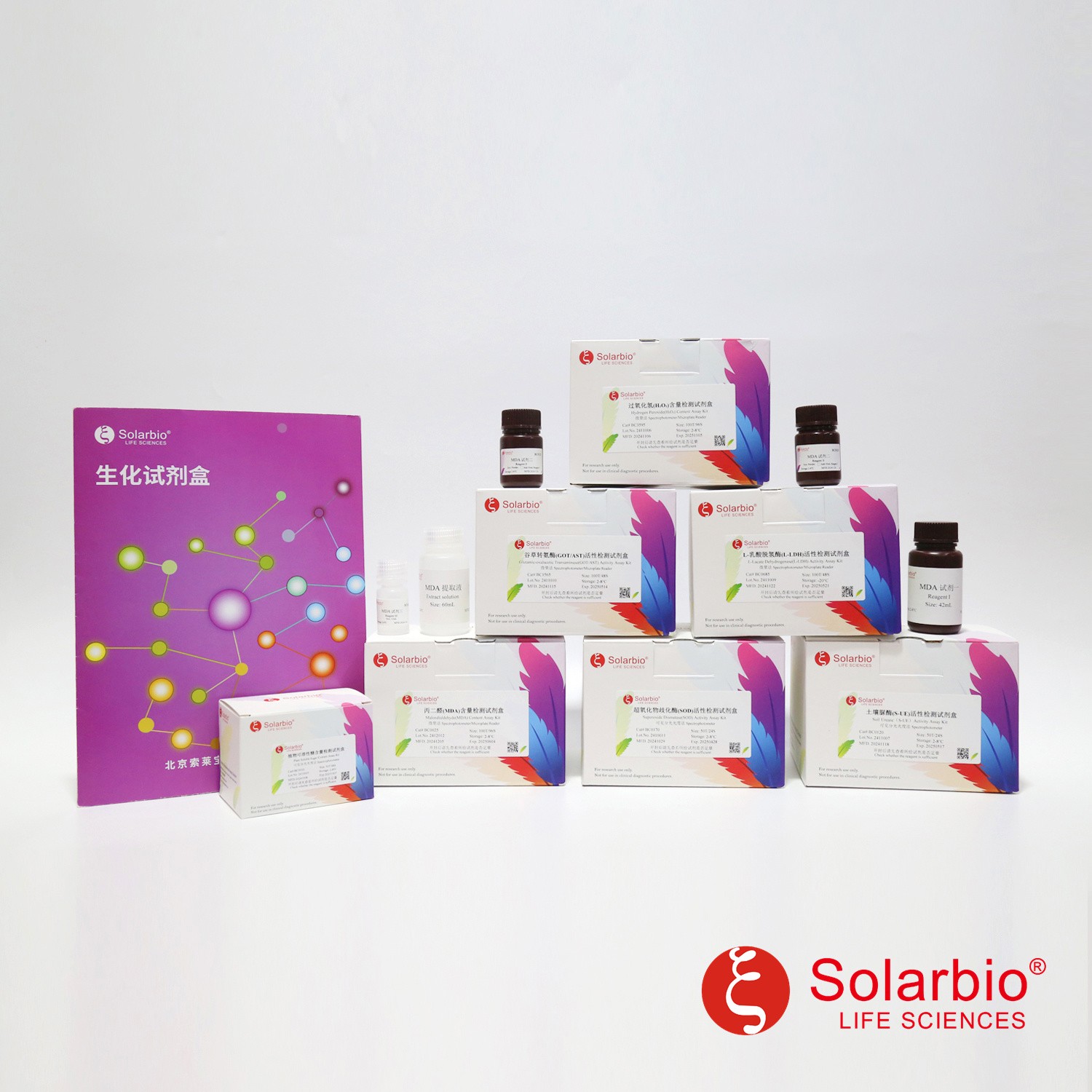 CAT 活性检测试剂 过氧化氢酶检测 Solarbio 原厂 BC0205-100T/96S