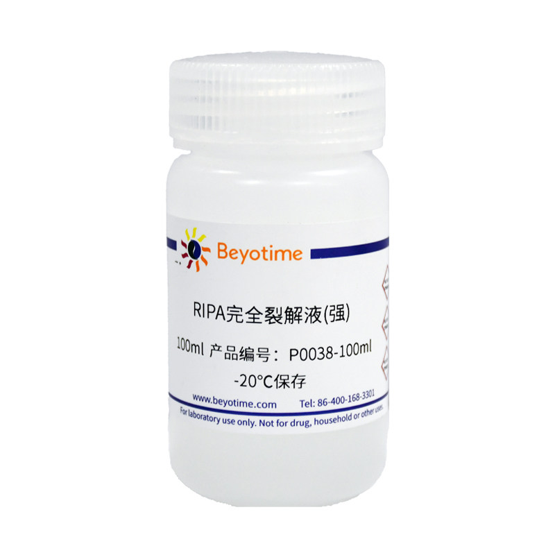 碧云天RIPA完全裂解液(强)P0038-100ml