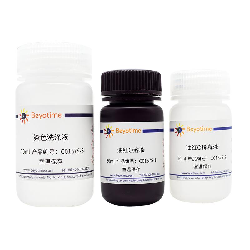 碧云天油红O染色试剂盒C0157S