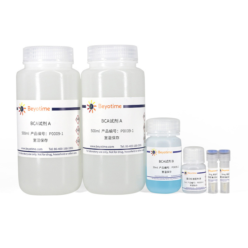 Biyuntian Bca Protein Concentration Assay Kit (Enhanced Version) Biyuntian Bca Protein Concentration Assay Kit (Enhanced Version)