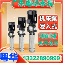 Yuehua brand YDL2 4 vertical multi-stage stainless steel pump condensate pump lengthened cutting fluid machine tool cycle