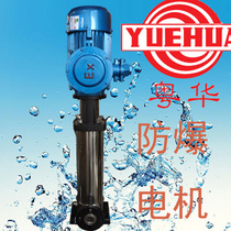 DL8 series alcohol pump high pressure water pump chemical pump explosion-proof motor flameproof stainless steel corrosion pump