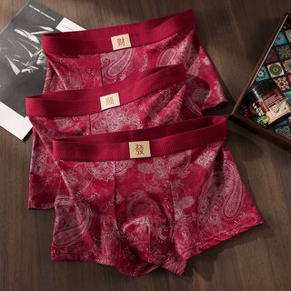 Chinese Style Men's Underwear, Boys' Bright Red Pure Cotton Printed Boxer Briefs, Youth Wedding Mid-Waist Briefs, New Year Gift