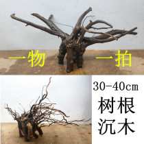 Look at the picture and choose one thing and one shot of rhododendron root landscaping wood fish tank grass tank natural landscaping ornaments decoration