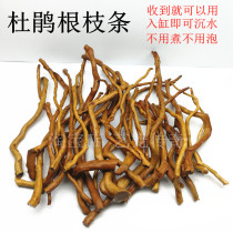 Rhododendron root branches into the cylinder submerged water boiled-free natural strip submerged wood fish cylinder aquatic plant landscaping South American wind native cylinder fine