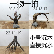 Look at the picture choose a picture a fish tank rhododendron root landscaping wood natural tree root Moss tree water plant root carved grass tank