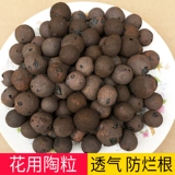 Керамические цветы с горшками для цветов в горшках ставят дно полихидом и делают богатые деревья.