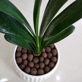 Керамические цветы с горшками для цветов в горшках ставят дно полихидом и делают богатые деревья.