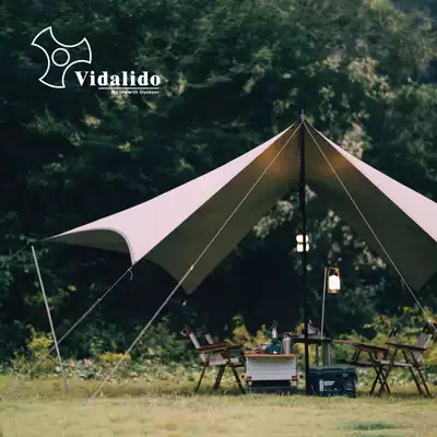 Outdoor camping sunshade canopy heat insulation rainproof sunscreen silver coated with UV resistance 4 people barbecue camping pergola tent