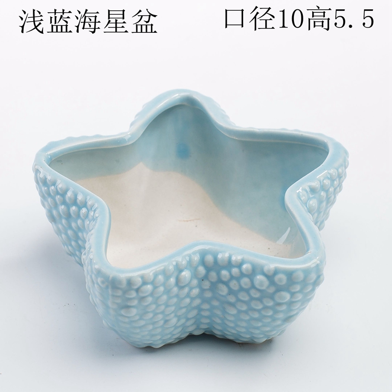 Vỏ ốc xà cừ san hô tự nhiên bể cá cảnh quan trang trí thủ công Địa Trung Hải sáng tạo trôi dạt trang trí chai - Trang trí nội thất phòng khách nhà cấp 4