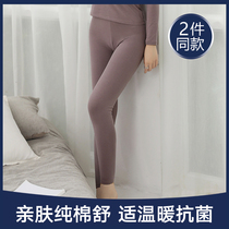 Womens autumn pants wear cotton single piece cotton tight cotton pants Student leggings pants warm pants line pants