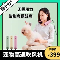 Walking Seventeen pet hair dryer beauty hair dryer strong wind negative ion silent cat and dog hair dryer hanging neck hair dryer