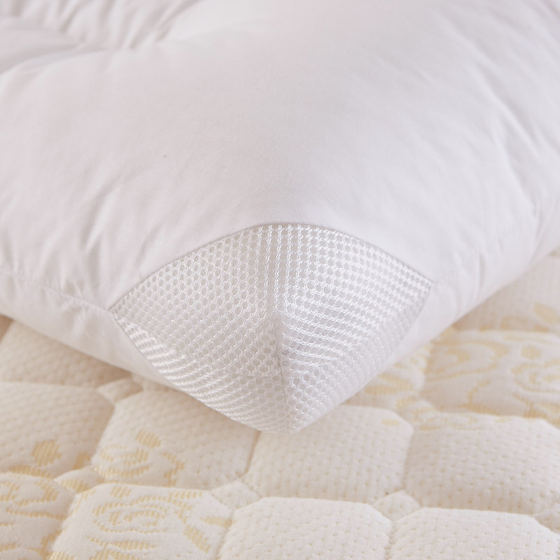 ���ȹ���˫�˻��쳤��ͷczx005