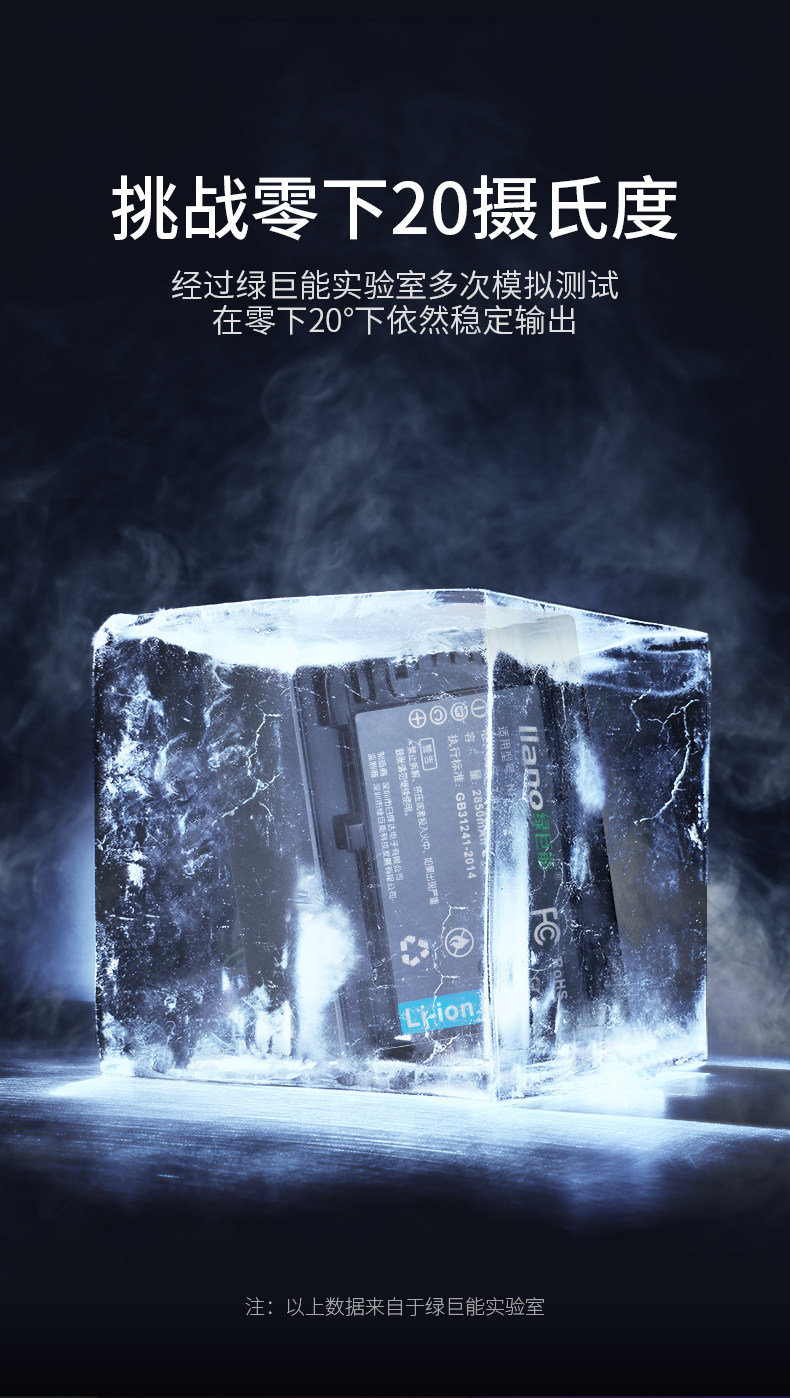 FV100 Battery_04.jpg