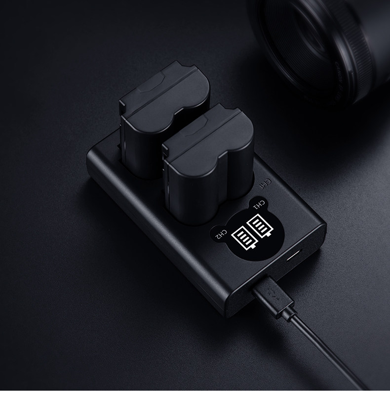 Fuji-np-w235 Двойное зарядное устройство сведения_15.jpg