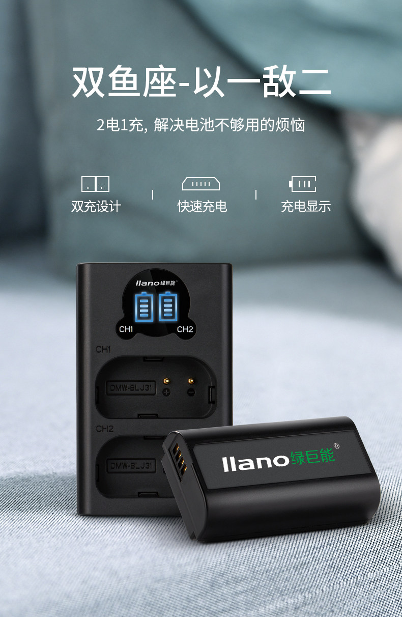 BLJ31 charger_01.jpg