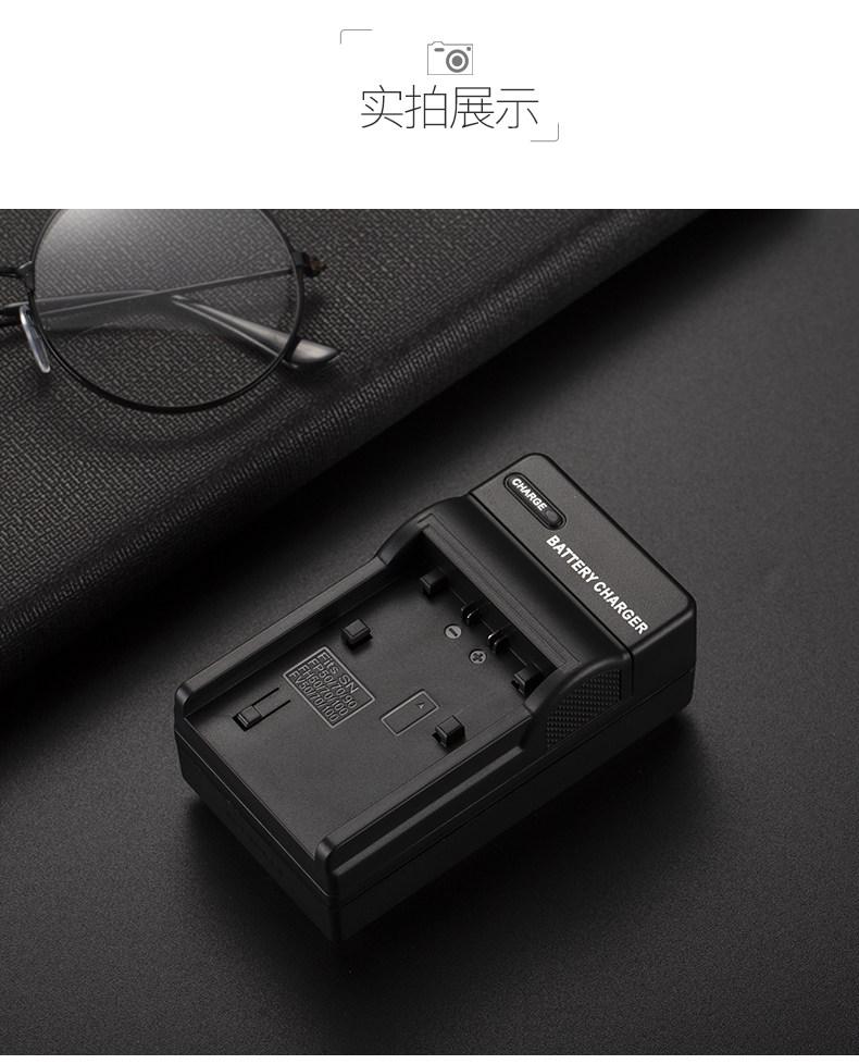 FV100 Single Charge_13.jpg