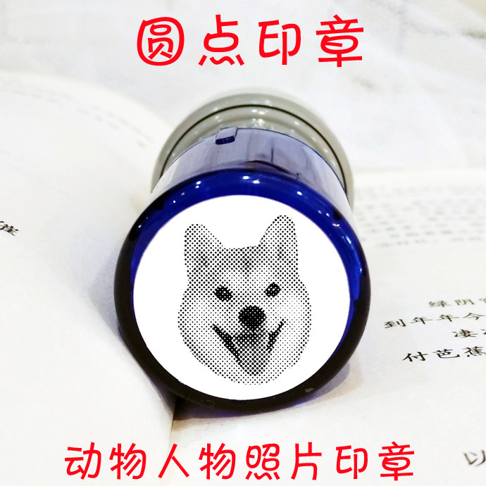 Star Animal Pet Live-action Photo Round Point Seal Wang Yuan Ma Jiaqi Cai Xu Kun's cute chaidog dog kitty