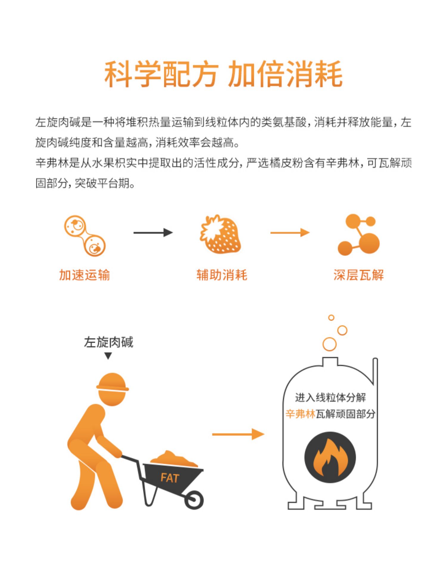 【诺特兰德】左旋肉碱60000液体饮料