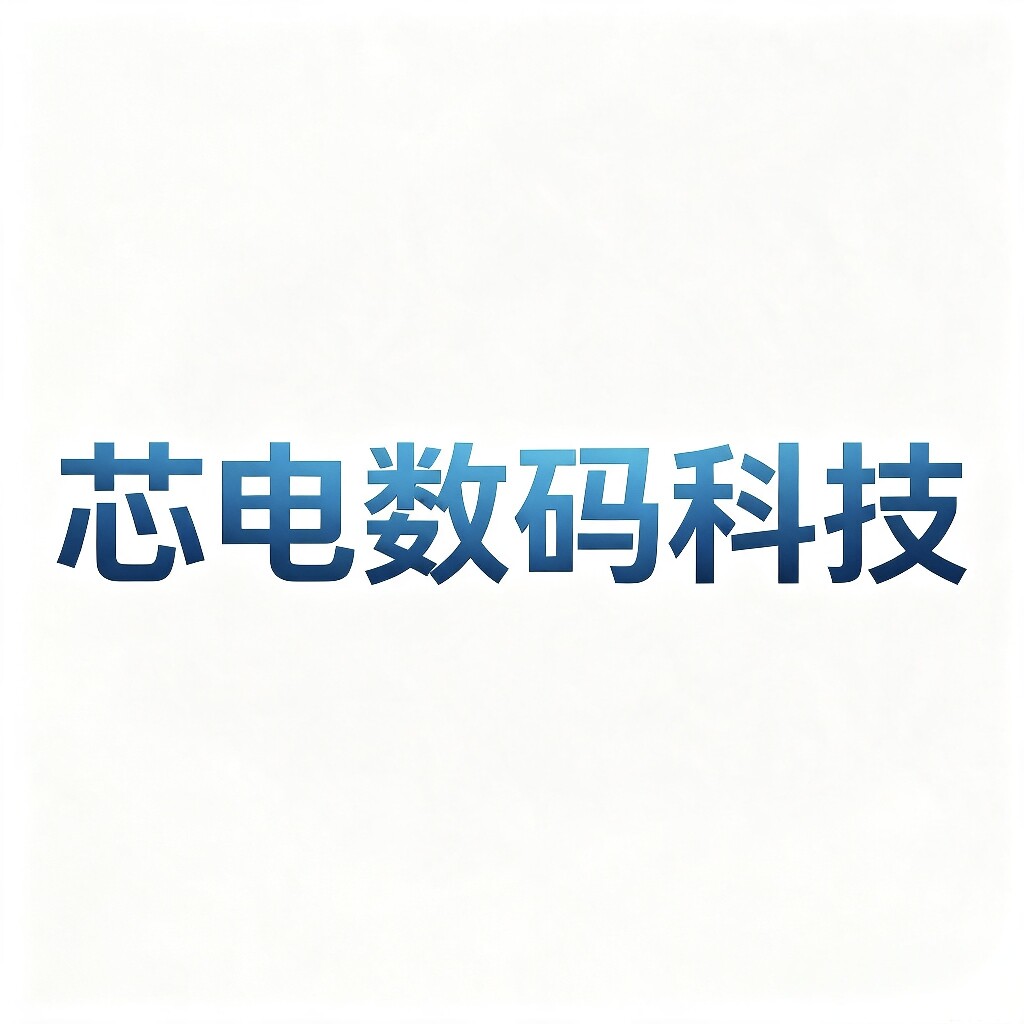 芯电数码科技店