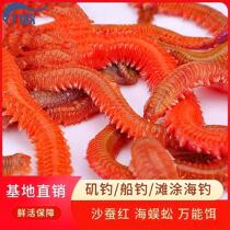 Live sand sericulture Bait Red Worm Green Worm Sea Centipedes Sea Leaner Sea Leaner Sea Fishing Bait Lujah Bait bass Bait Bag to live