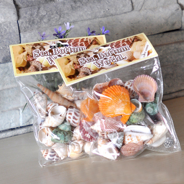 Pure natural shell sea snail scallop decoration pendulum decorated with cloth view creative home fish tank made up for props