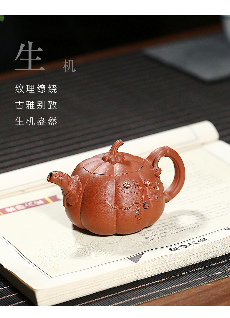 Yixing ceramic story it pure manual master famous authentic tea tea teapot capacity of the National People 's meets